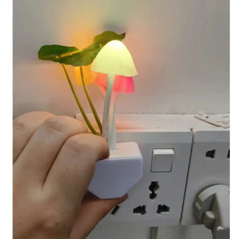 Veilleuse fleure à la prise
