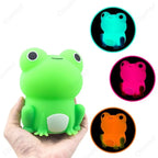 Veilleuse grenouille nomade