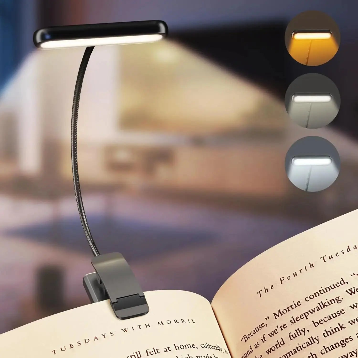 Veilleuse portable LED