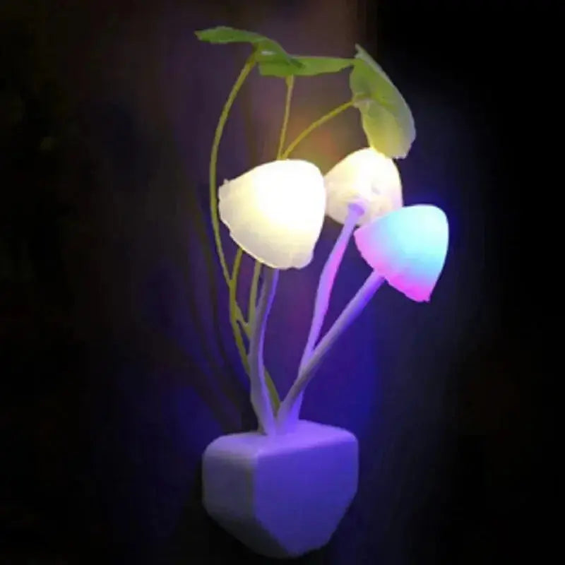 veilleuse  fleure nuit